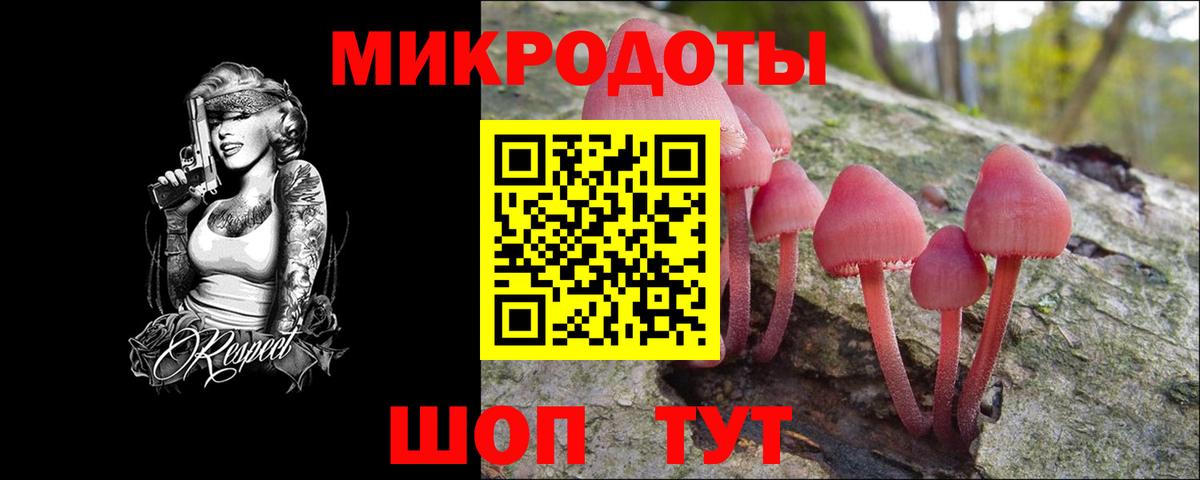 Псилоцибиновые грибы Psilocybine cubensis Истра